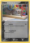 chaton