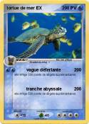 tortue de mer
