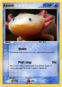 Axolotl