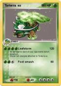 Torterra ex 1