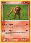 Vizsla