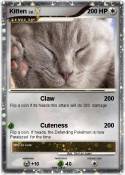 Kitten