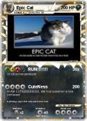 Epic Cat
