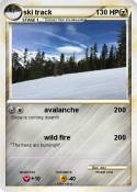ski track