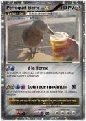 Perroquet bierr