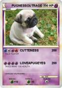 PUGNESSOUTRAGE