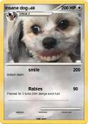 Insane dog