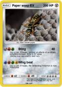 Paper wasp EX