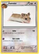 hamster