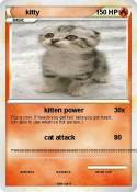 kitty