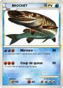 BROCHET