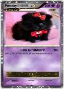 Pomsky!!!!!!!!!
