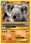 Koala