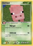 Cochique