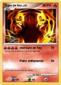 Tigre de feu