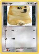lil bro doge