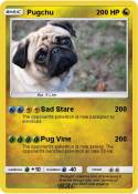 Pugchu