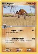 red kangaroo