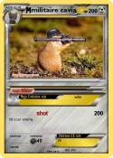 militaire cavia