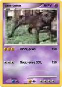 cane corso