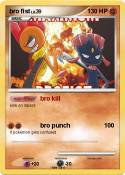 bro fist