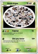 Green Algea