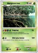 Mangrove tree