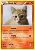 M cat Ex