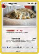 sleepy cat