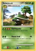 Torterra