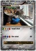 sniper kitty