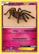 spider hacker