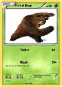 Forest Bear