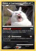 Rabbit of