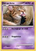 chat qui l$che