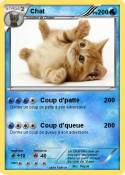 Chat