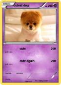 cutest dog