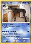 Big dog