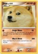 Doge