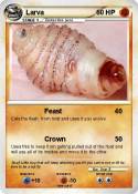 Larva