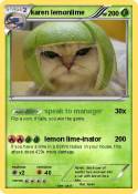 karen lemonlime