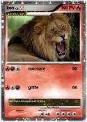lion