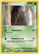 Tortue
