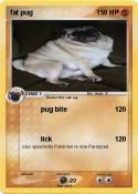 fat pug