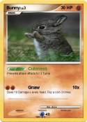 Bunny