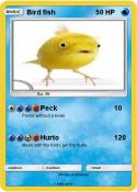 Bird fish