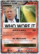 DONALD DUMP