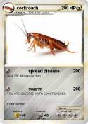 cockroach