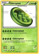Chloroplast
