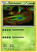 Cytoskeleton